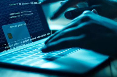 Understanding Click Frauds